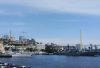 Экспортную витрину Дальнего Востока сформируют на Тихоокеанском международном конгрессе