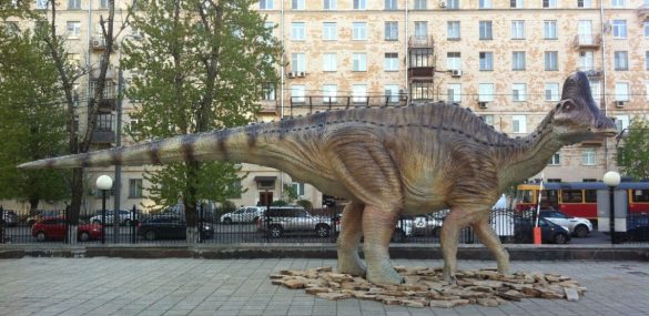 Рост турпотока вывел Приамурье в лидеры